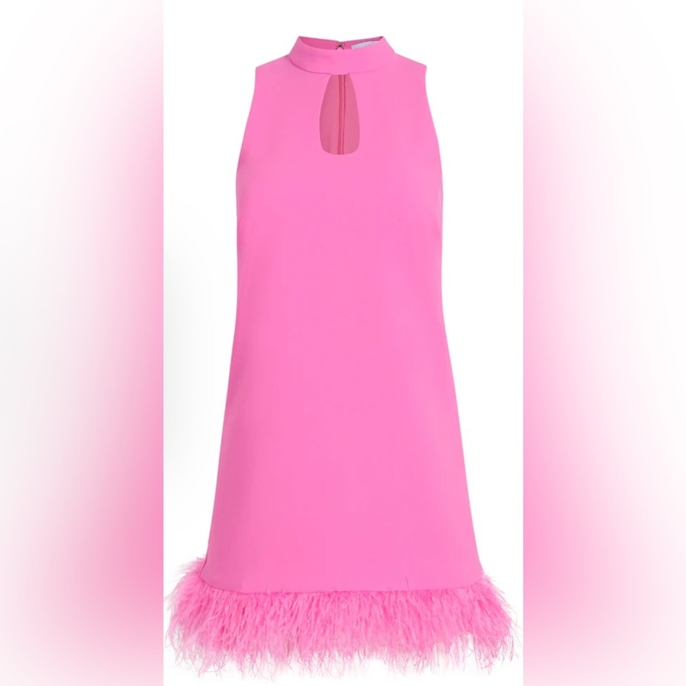NWT Likely Kikka Dress. Size 6.